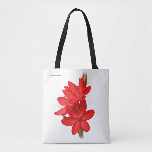 Kaffir Lily / River Lily / Hesperantha Coccinea Tasche (Vorderseite)