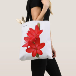 Kaffir Lily / River Lily / Hesperantha Coccinea Tasche