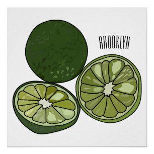 Kaffir Limon Cartoon Illustration Poster