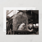 Käfiggebäck Postkarte (Vorne/Hinten)