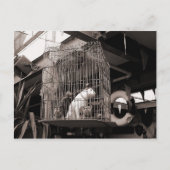 Käfiggebäck Postkarte (Vorderseite)