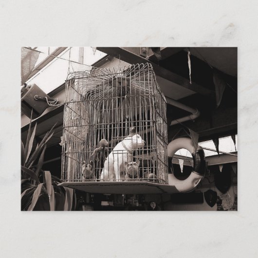 Käfiggebäck Postkarte (Vorderseite)