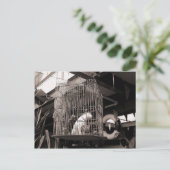 Käfiggebäck Postkarte (Stehend Vorderseite)