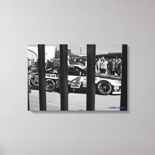 Käfigtier Leinwanddruck (Vorderseite)