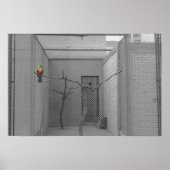 Käfigvogel Poster (Vorne)