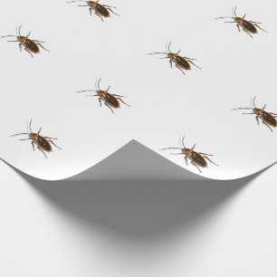 Kafka Geschenkpapier