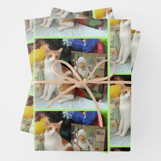 Kagans Weihnachtsgeschenke - Katze / Kitten Geschenkpapier Set (Beispiel)