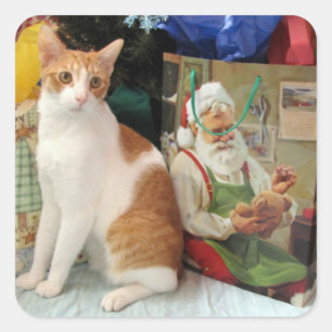 Kagans Weihnachtsgeschenke - Katze / Kitten Sticke Quadratischer Aufkleber