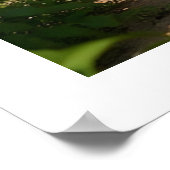 Kagu Kobudo Poster (Ecke)