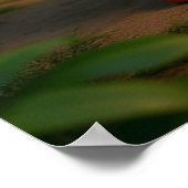 Kagu Potter Poster (Ecke)