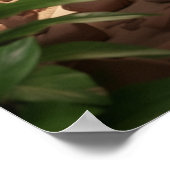 Kagu Workshop Poster (Ecke)