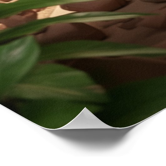 Kagu Workshop Poster (Ecke)