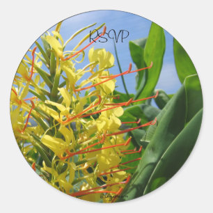 Kahili Ginger Wedding Umschlag Aufklebers/ Sticker