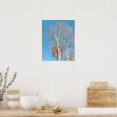 Kahl Bäume Poster (Küche)