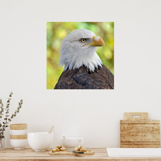 Kahladler Poster (Küche)