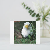 Kahladler Postkarte (Stehend Vorderseite)