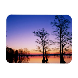 Kahle Zypressen   National Wildlife Refuge, TN Magnet