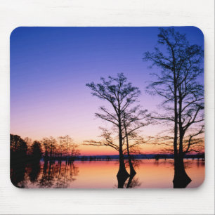 Kahle Zypressen   National Wildlife Refuge, TN Mousepad