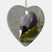 Kahlköpfiges Blässhuhn Keramikornament (Rechts)