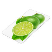 Kahlschlag Magnet (Linke Seite)