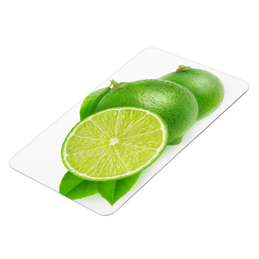 Kahlschlag Magnet (Linke Seite)