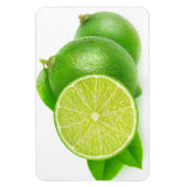 Kahlschlag Magnet (Vertikal)