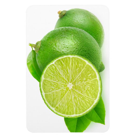 Kahlschlag Magnet (Vertikal)