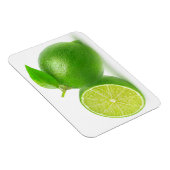 Kahlschlag Magnet (Rechte Seite)