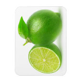 Kahlschlag Magnet (Vertikal)