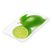 Kahlschlag Magnet (Linke Seite)