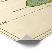 Kahoolawe, Hawaii Poster (Ecke)