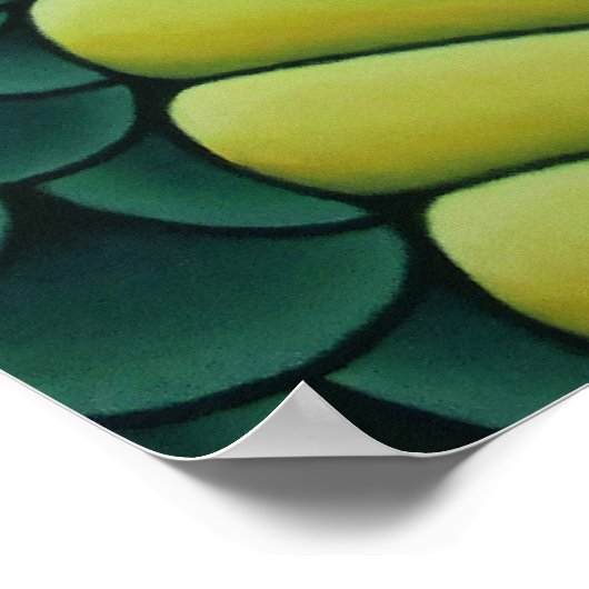 Kai Guardian Dragon Poster (Ecke)