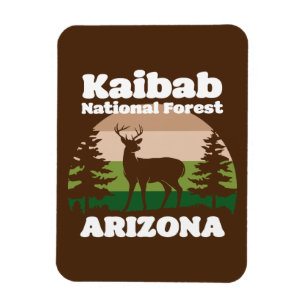 Kaibab National Forest Arizona Magnet