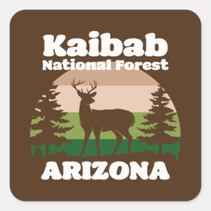 Kaibab National Forest Arizona Quadratischer Aufkleber
