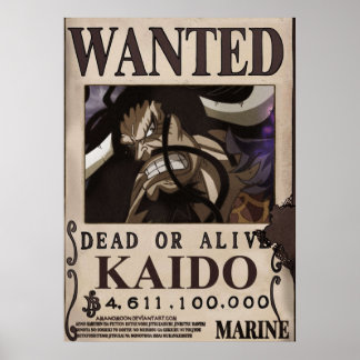 Kaido Gewollt Bounty Poster