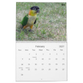 Kaiken Kalender 2010 (Feb 2027)