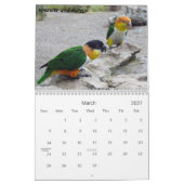 Kaiken Kalender 2010 (Mär 2027)