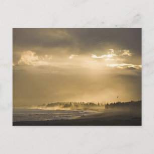 Kaikoura, Neuseeland. Kaikoura ist für Postkarte