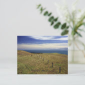 Kaikoura, Neuseeland Postkarte (Stehend Vorderseite)