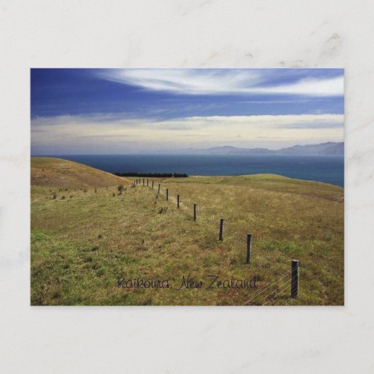 Kaikoura, Neuseeland Postkarte (Vorderseite)