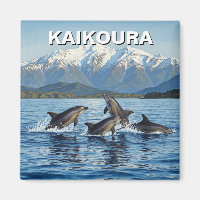 Kaikoura Neuseeländische Delphine Reise