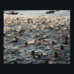 Kailua Kona, Big Island, Hawaii, USA Poster<br><div class="desc">AssetID: 200349071-001 / {Alvis Upitis} / Kailua Kona, Big Island, Hawaii, USA _x000D__x000D_ Kailua ist ein von der Volkszählung benannter Ort (CDP) in Hawai Landkreis , Hawaii . Staaten , im nördlichen Bezirk von Kona auf der Insel HawaiFort i . 1910 wurde die Stadt von der Regierung der Vereinigten Arabischen...</div>