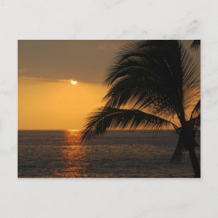 Kailua-Kona, Hawaii, Sunset Postcard Postkarte