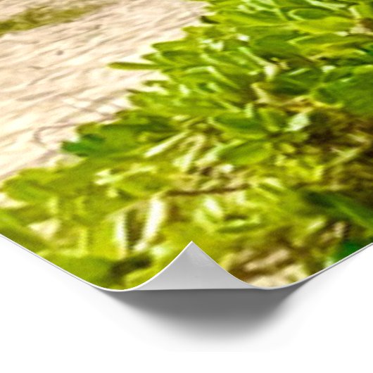 Kailua, Oahu Poster (Ecke)