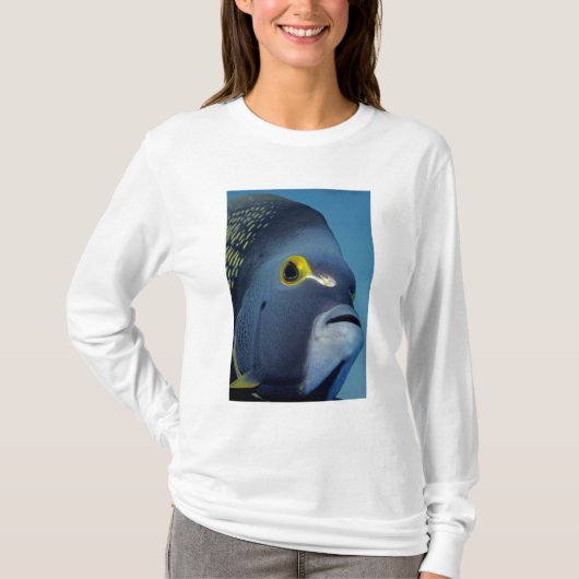 Kaimaninseln, Angelfish Pomacanthus T-Shirt (Vorderseite)