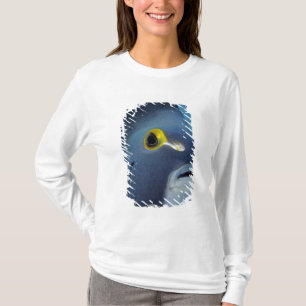 Kaimaninseln, Angelfish Pomacanthus T-Shirt