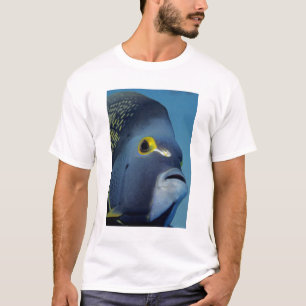 Kaimaninseln, Angelfish Pomacanthus T-Shirt