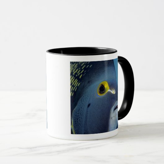 Kaimaninseln, Angelfish Pomacanthus Tasse (VorderseiteRechts)