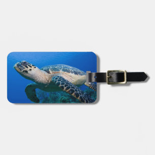 Kaimaninseln, Little Cayman Island, Unterwasser 2 Gepäckanhänger
