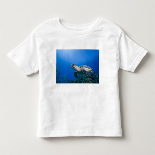 Kaimaninseln, Little Cayman Island, Unterwasser 2 Kleinkind T-shirt (Vorderseite)